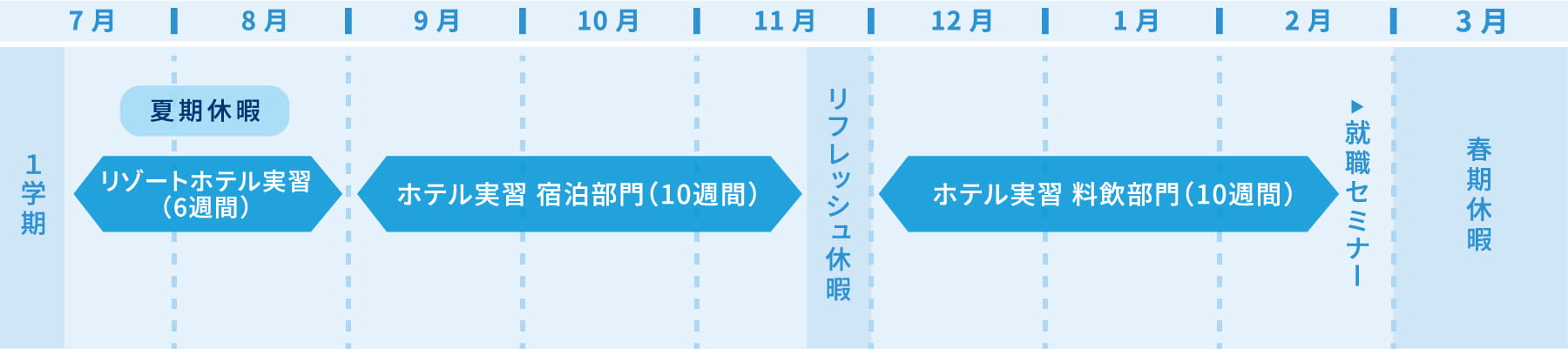 実習スケジュール